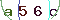 Validation Code