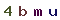 Validation Code