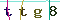 Validation Code